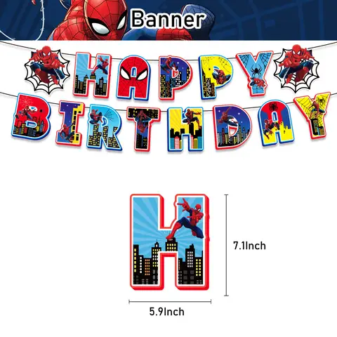 Spiderman Party Decoration Package