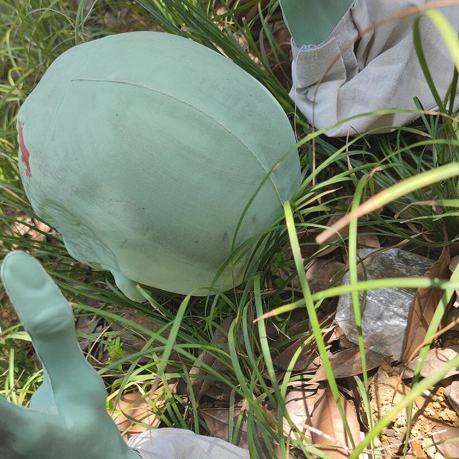 Set Skeleton Bone Head Realistic Gothic - Preppy Kids (Grand Bazaar)