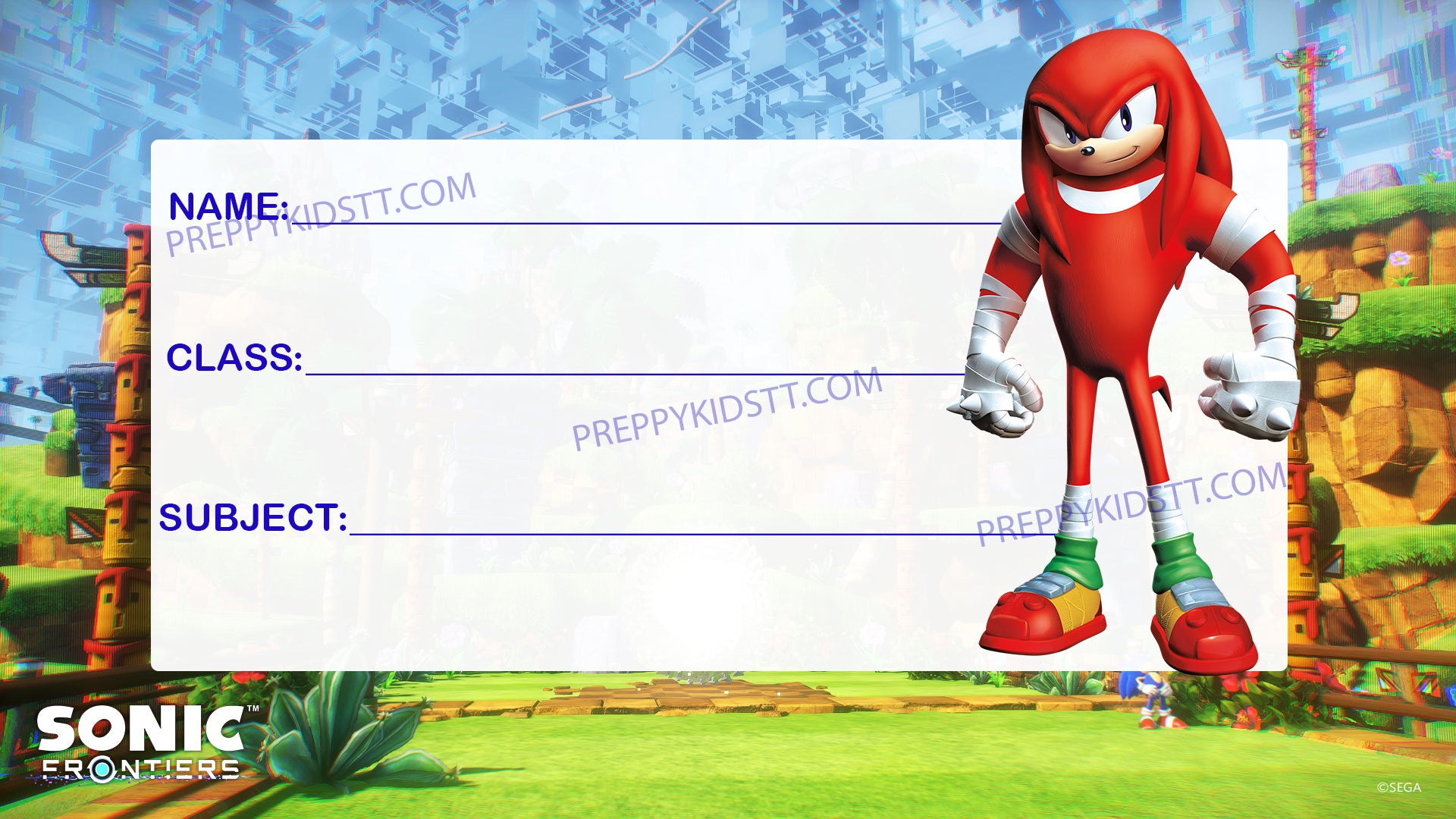 Sonic Knuckles School Labels (Waterproof)