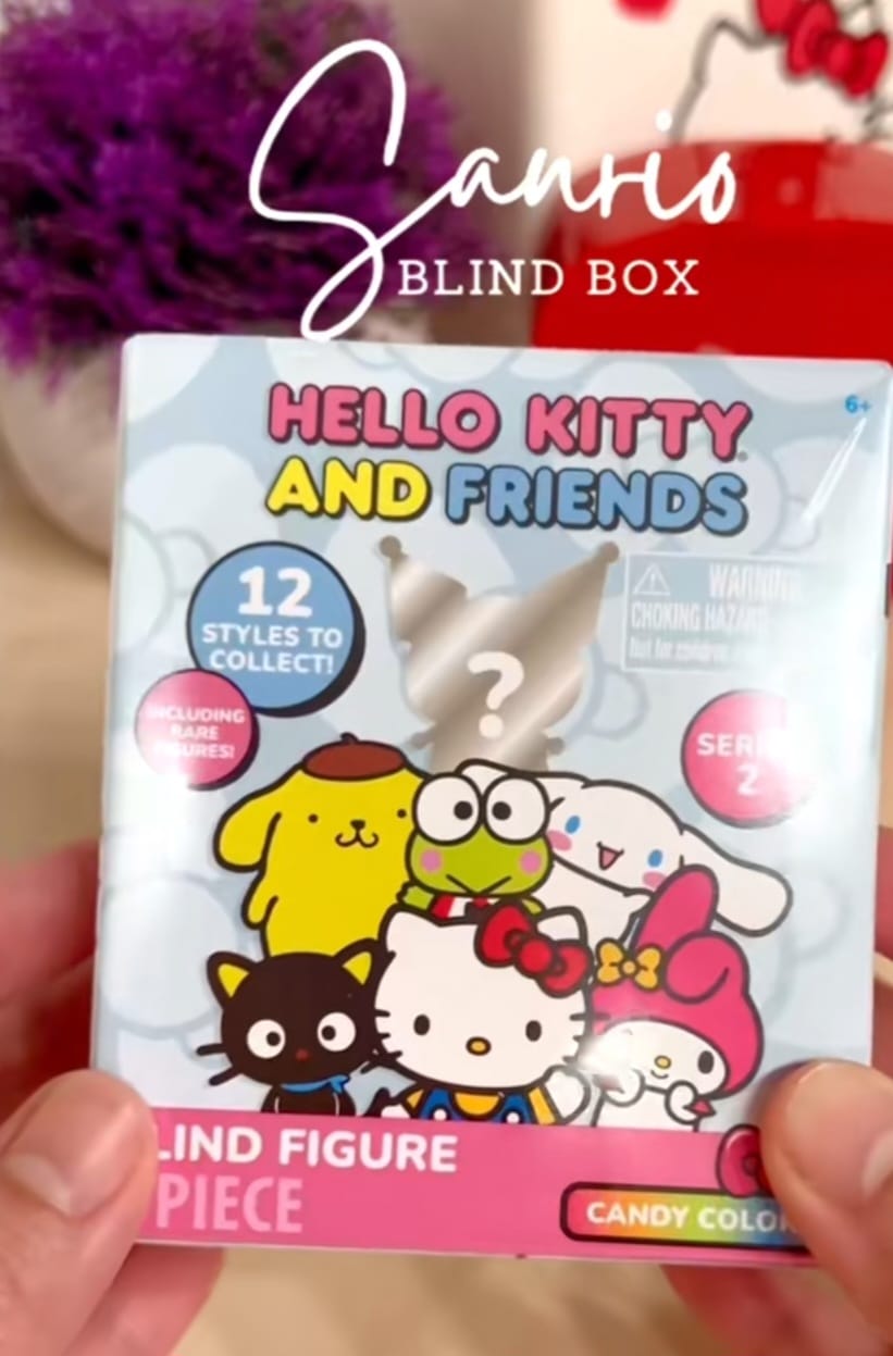 Sanrio Blind Box