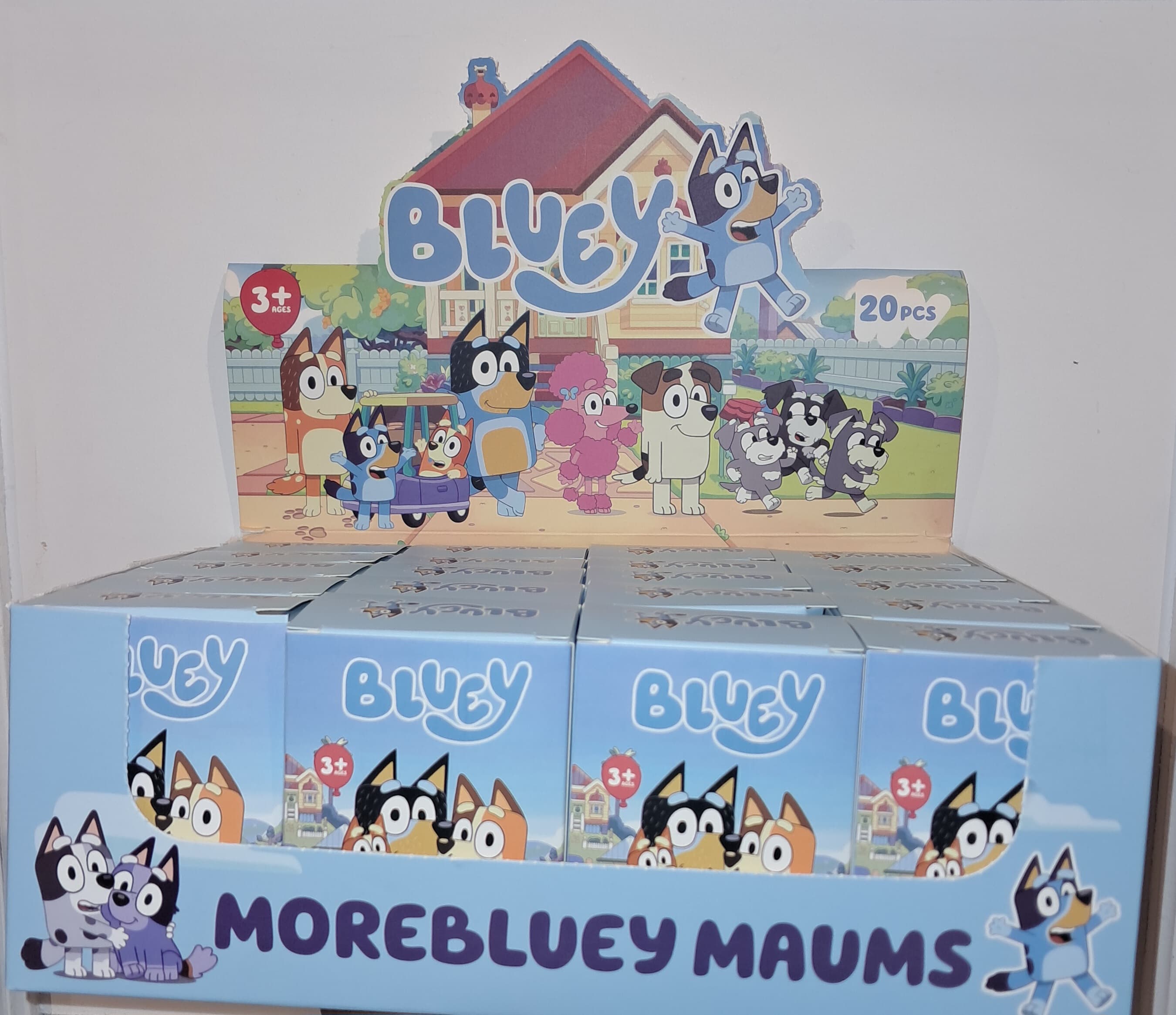Bluey Blind Box