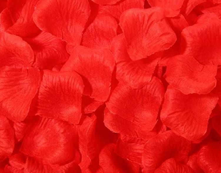 Artifical Rose petals - Preppy Kids (Grand Bazaar)