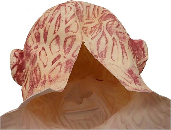 Freddy Krueger Mask - Preppy Kids (Grand Bazaar)