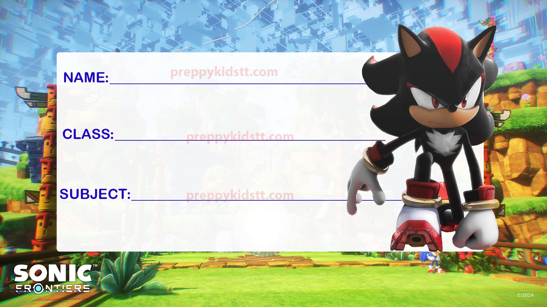 Sonic Shadow School book Labels (Waterproof)