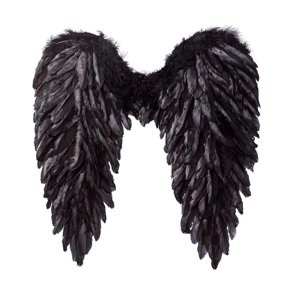 55cm Feather Angel Wings