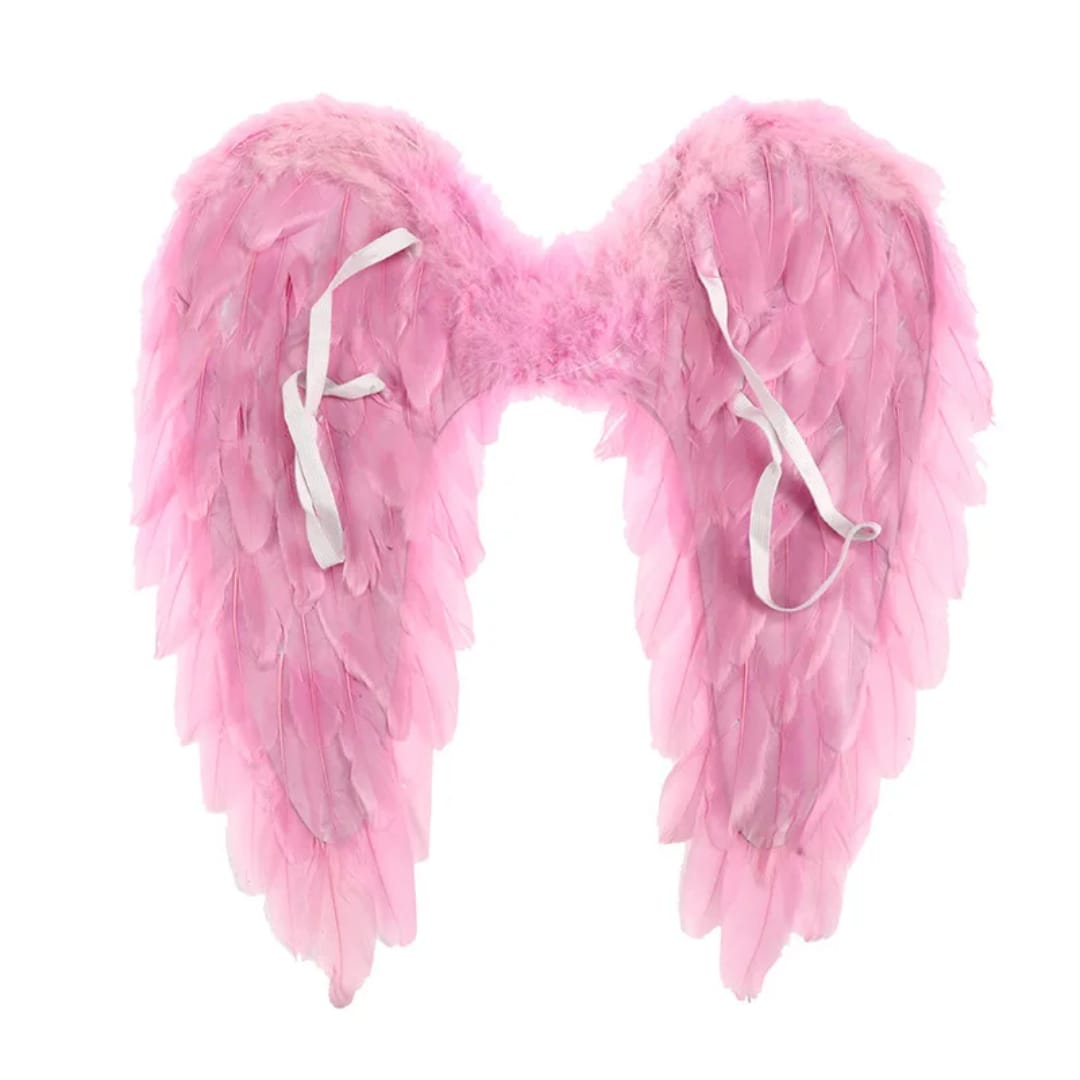 55cm Feather Angel Wings