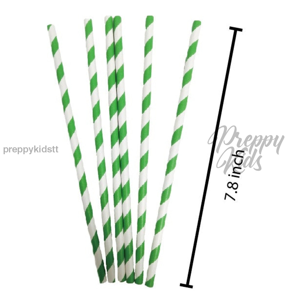 Jungle Safari Party Decoration Package