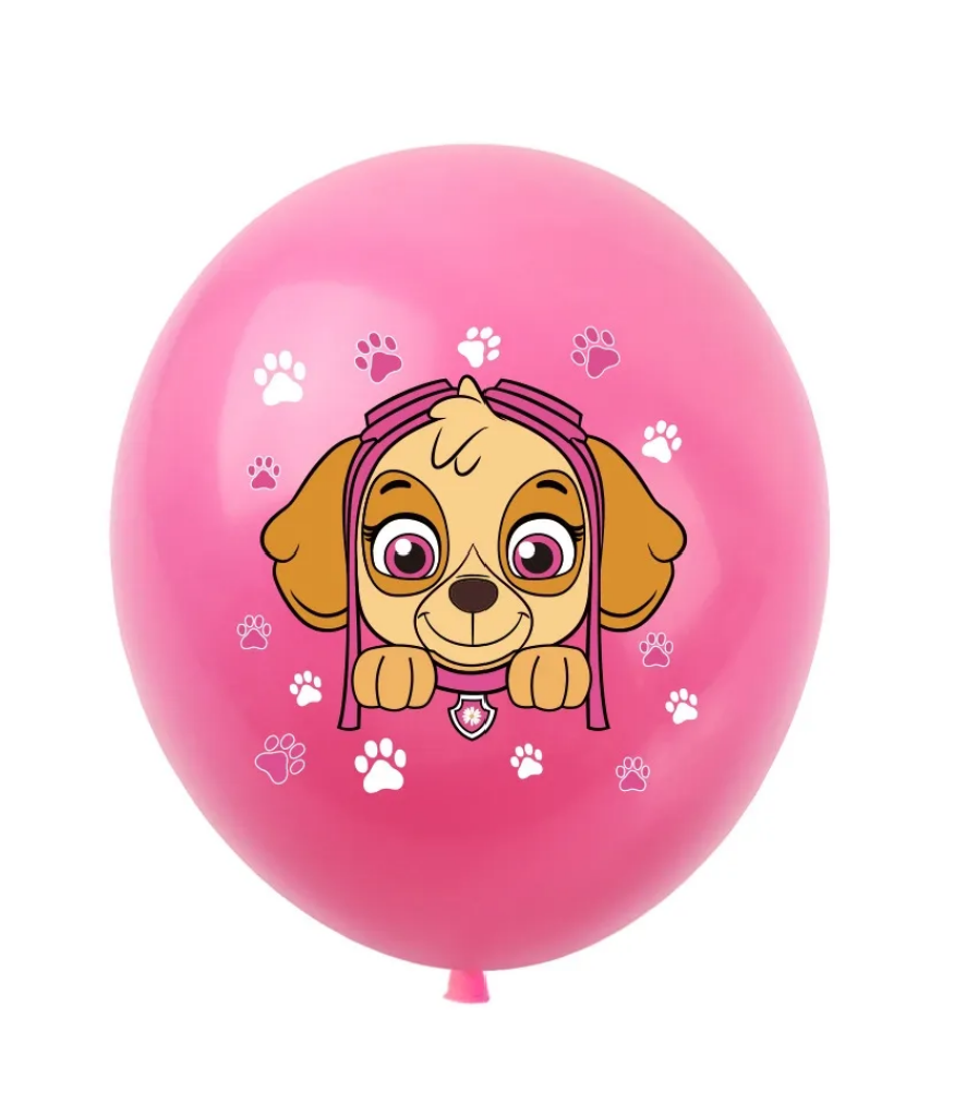 Paw Patrol Girls Edition Pink Party Decoration package - Preppy Kids (Grand Bazaar)