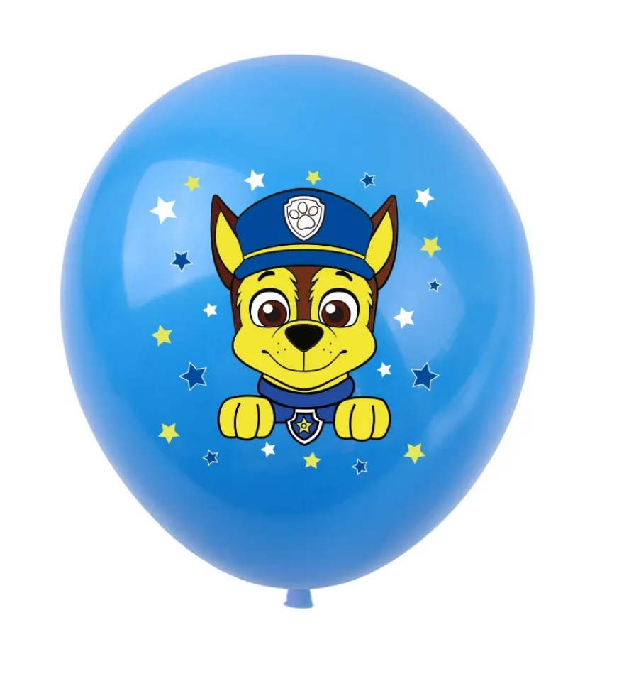 Paw Patrol Girls Edition Pink Party Decoration package - Preppy Kids (Grand Bazaar)