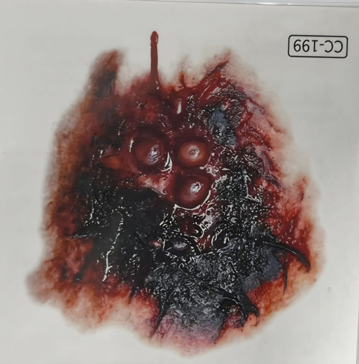 Halloween Temorary Tattoo Stickers