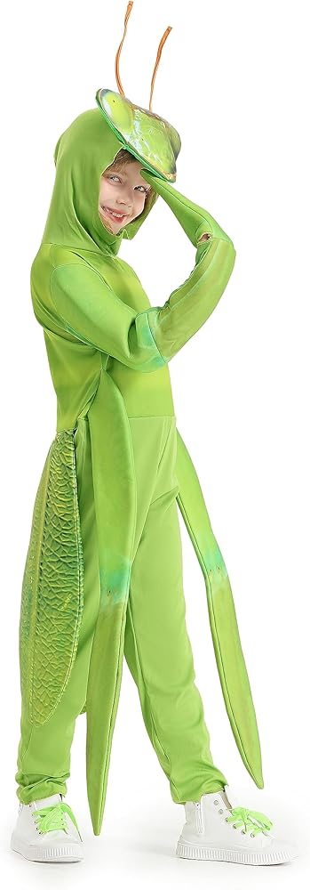 Praying Mantis Costume