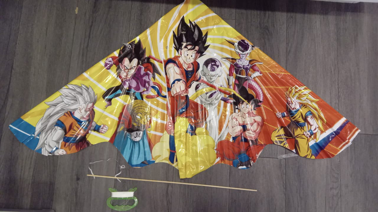 Dragon Ball Z Kite