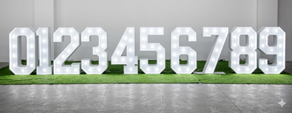 Marquee Number White Rental