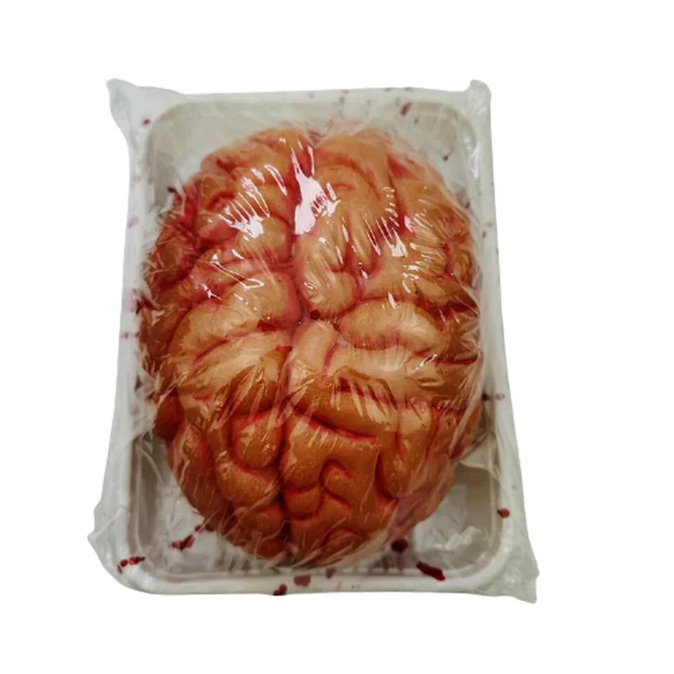 Fake Zombie Brain Halloween Props