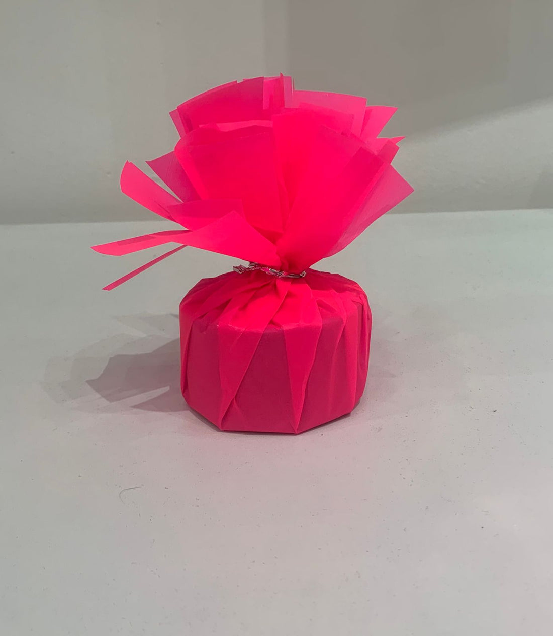 Balloons Neon Pink Circle Weights