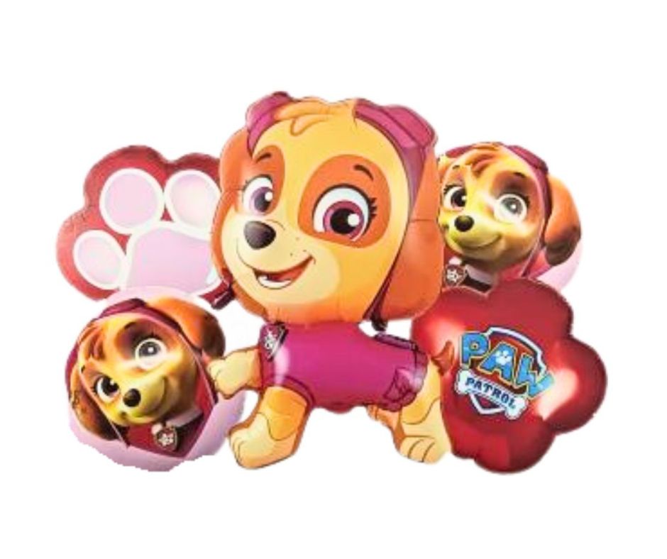 Skye Paw Patrol 5pc foil Balloon set