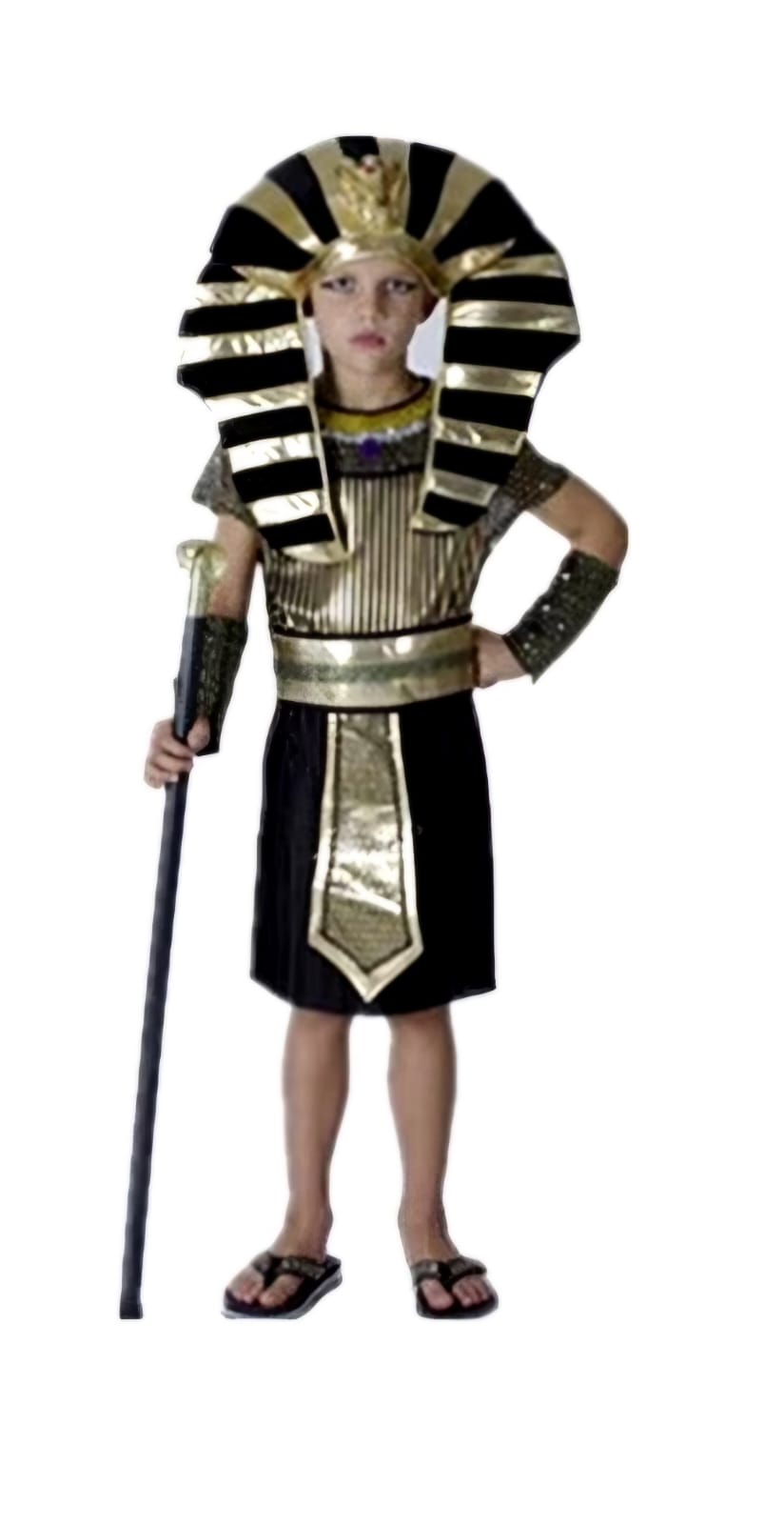 Egyptian Pharaoh cosplay costume outfit