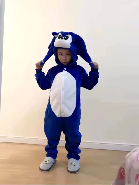 Sonic the Hedgehog Cosplay Outfit