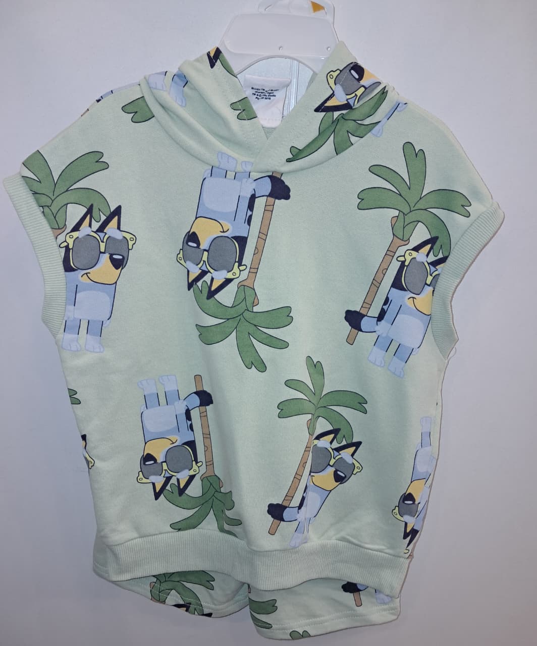 Bluey Green 2PC Hoodie Outfit