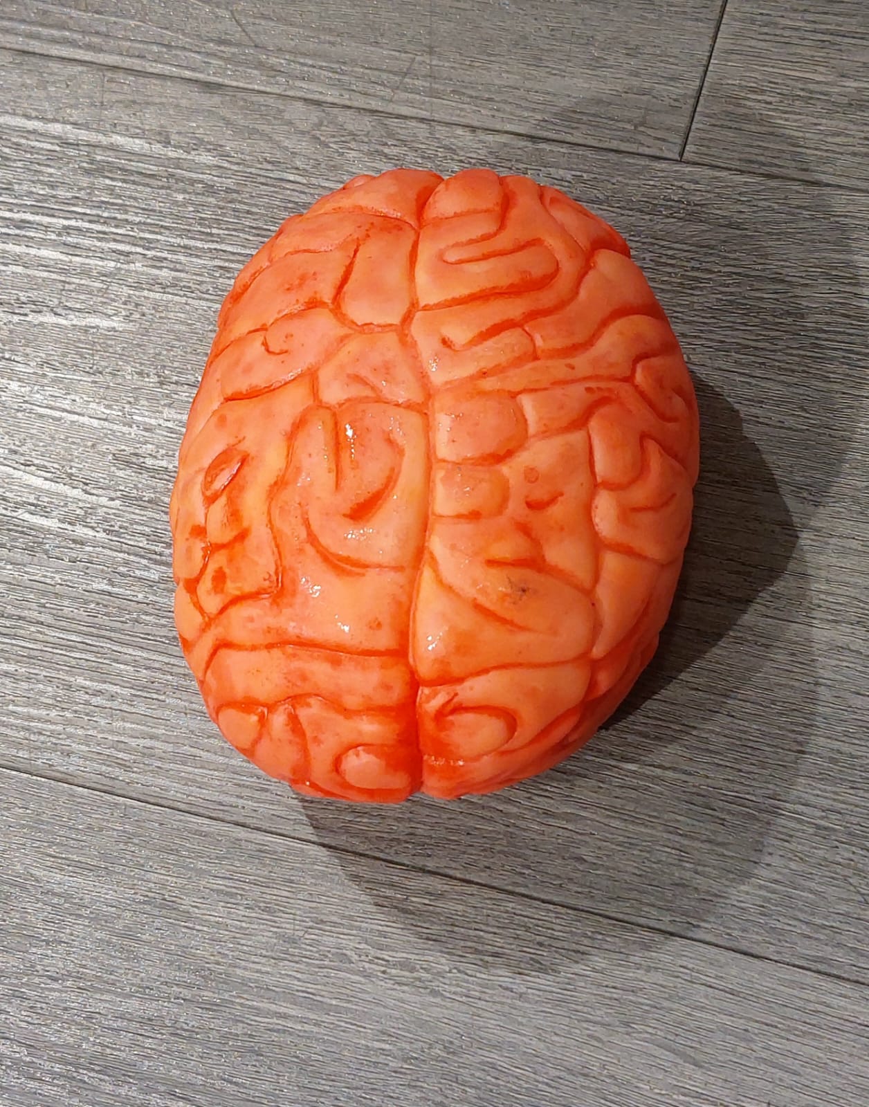 Fake Zombie Brain Halloween Props