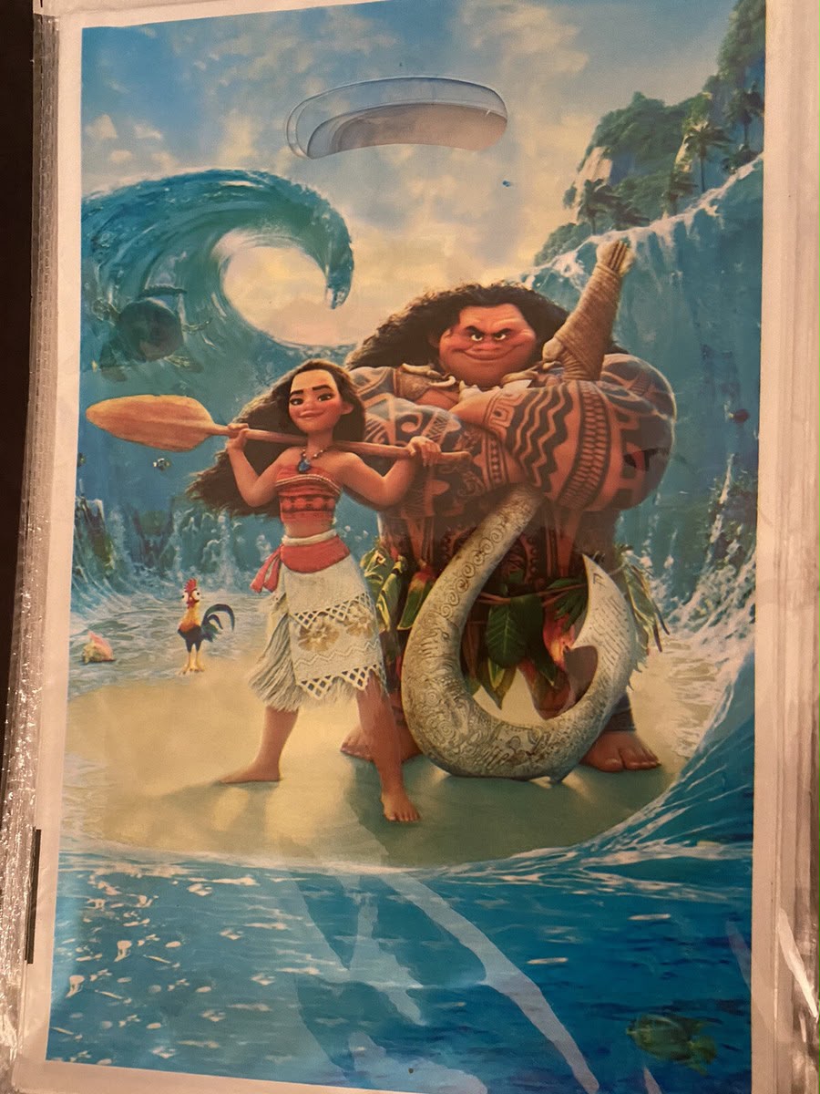 Moana Loot Bags (10pcs)