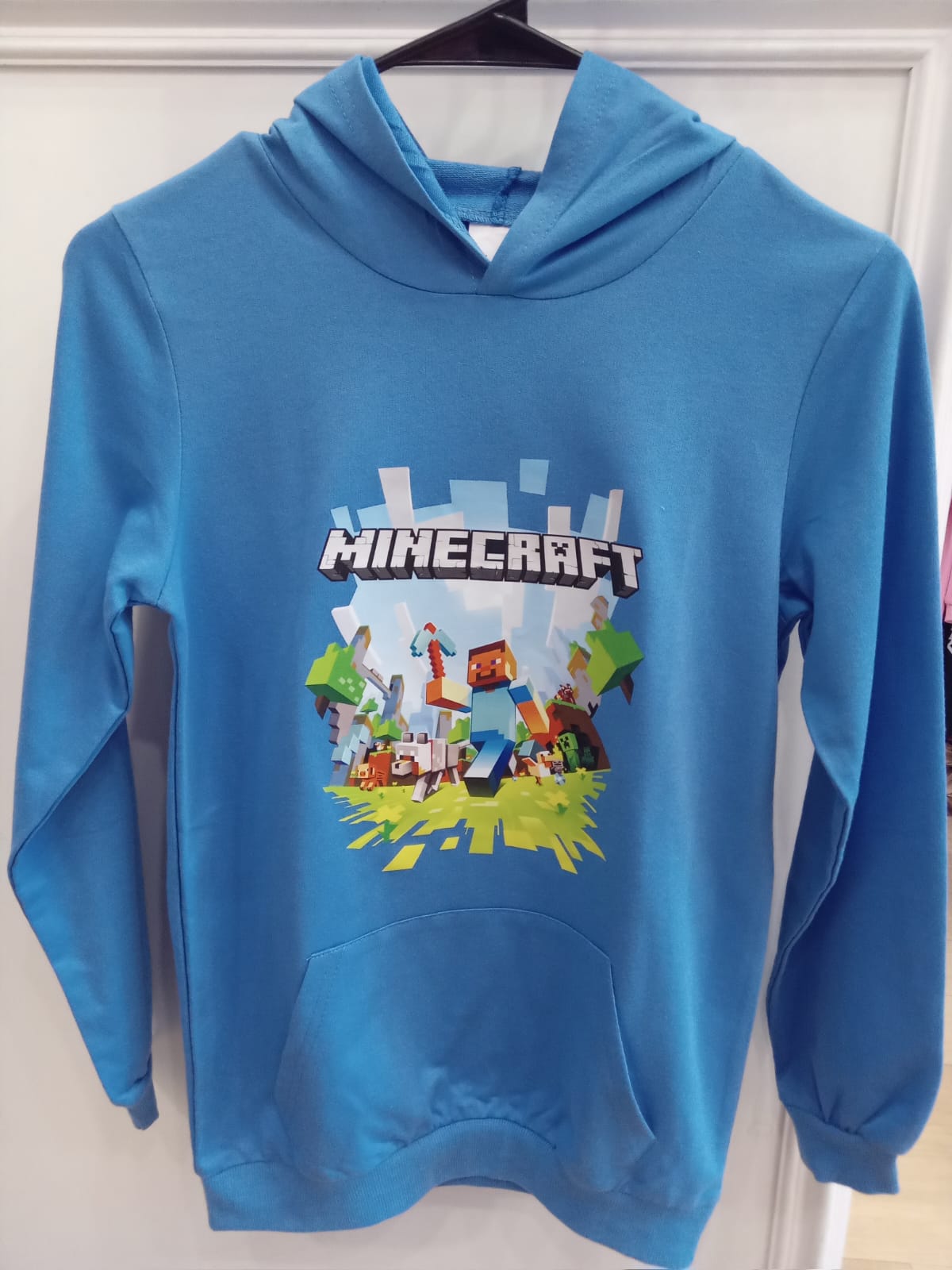 Minecraft Hoodie (track suit top)