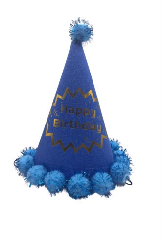 Happy Birthday Pom Pom Hats