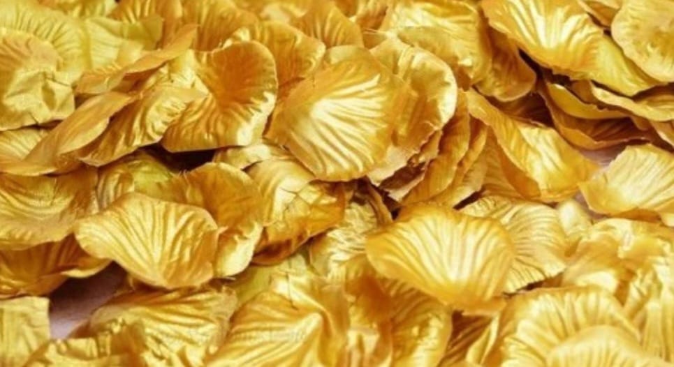 Artifical Rose petals - Preppy Kids (Grand Bazaar)