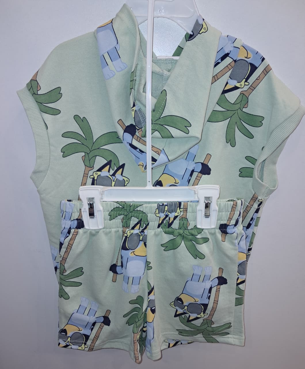 Bluey Green 2PC Hoodie Outfit