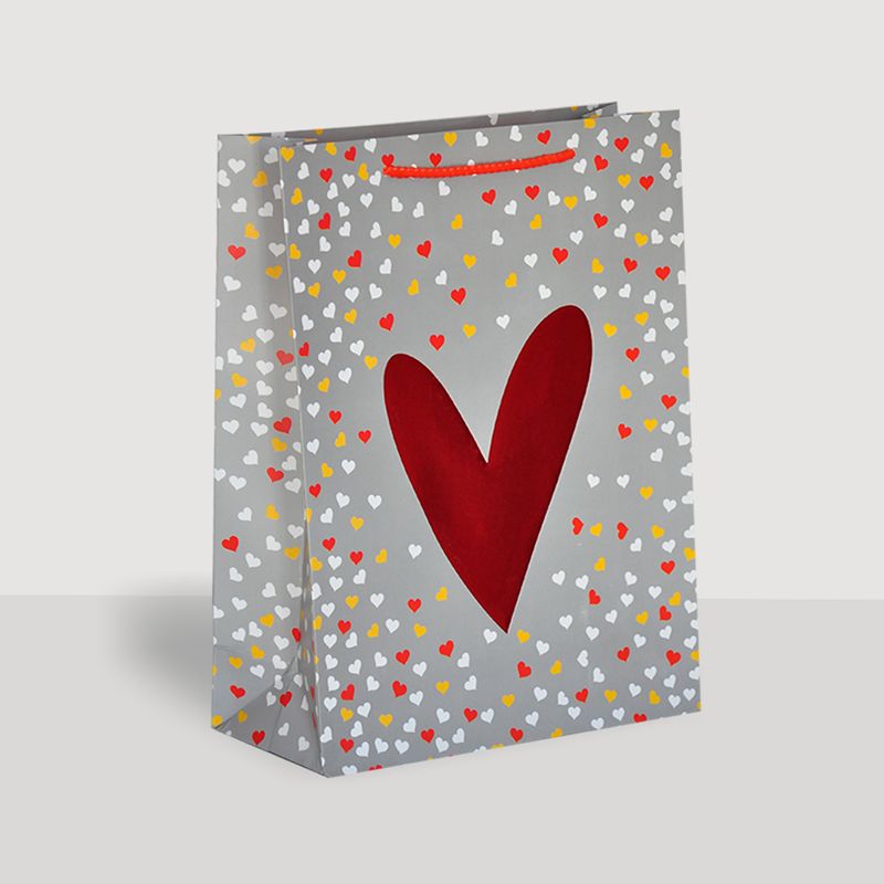 Medium Heart Pattern Gift Bag