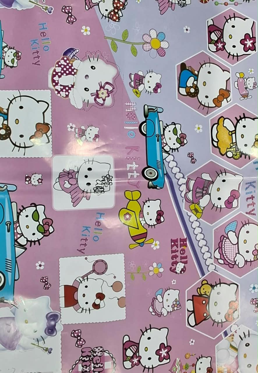 Character Gift Wrapping Paper (27&