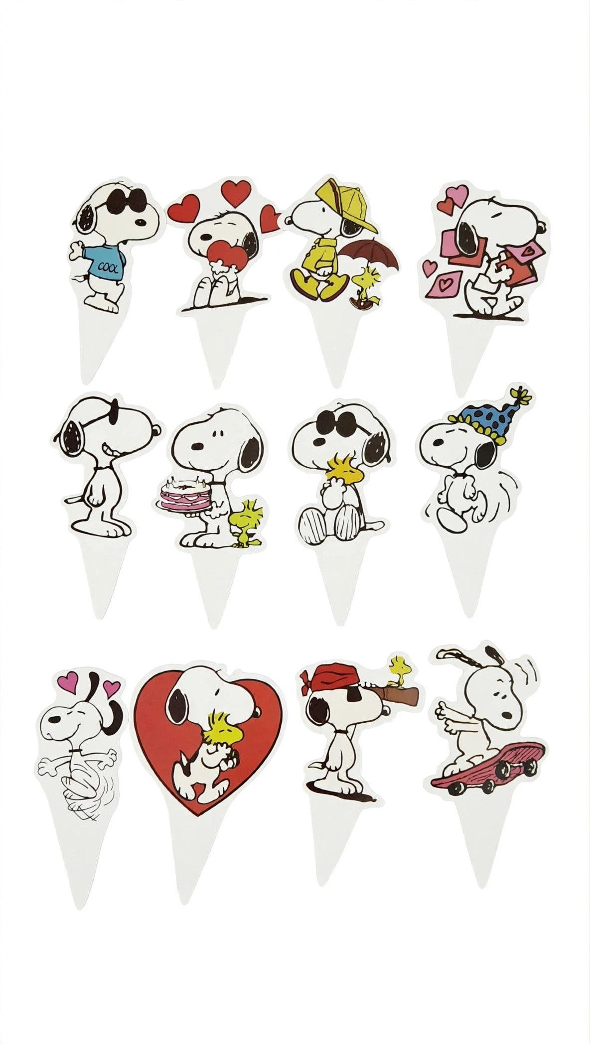 Snoopy Birthday party package