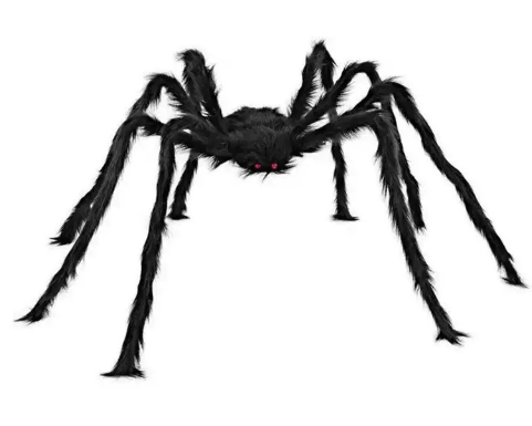 Halloween 5 Metre Spider Web with 50cm Spider Prop meter