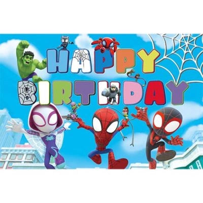 Spidey and His Amazing Friends Party Package 