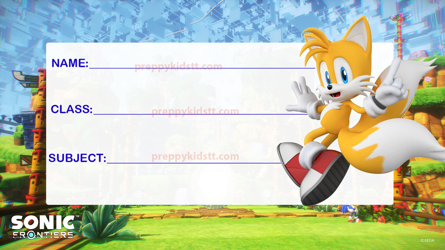 Sonic Tails School book Labels  (Waterproof)