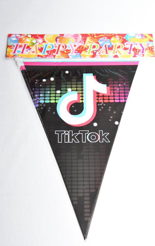 Tiktok Disco Party Flag Banner