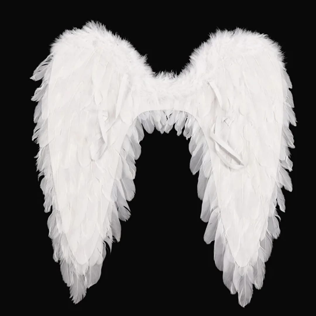 55cm Feather Angel Wings