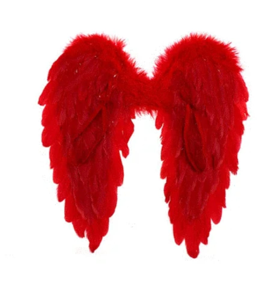 55cm Feather Angel Wings
