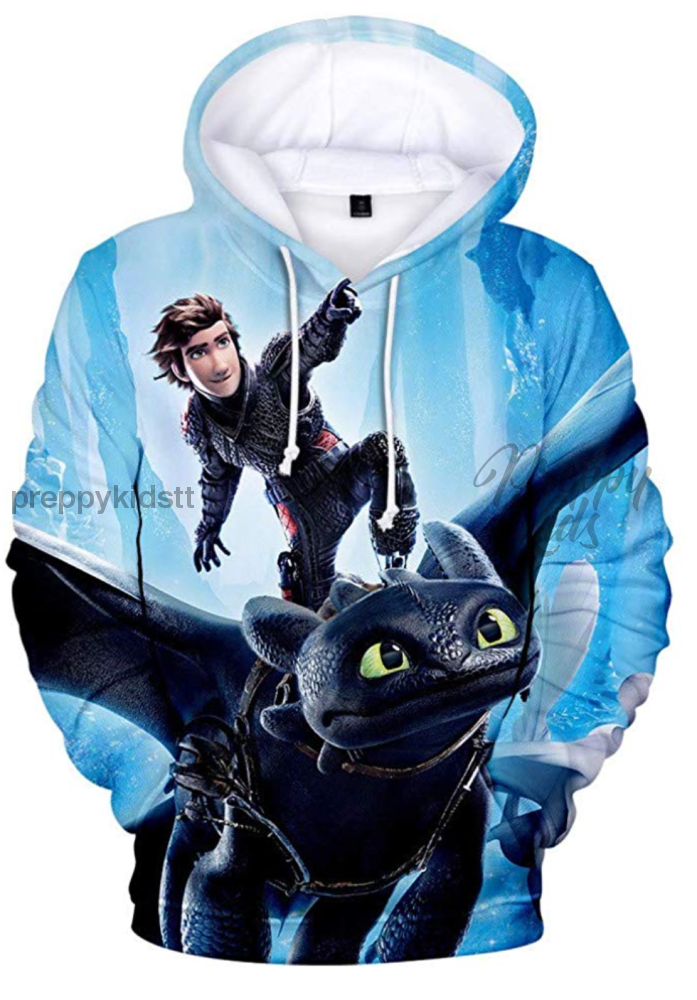 How To Train A Dragon 3D Hoodies Flying 2Xl