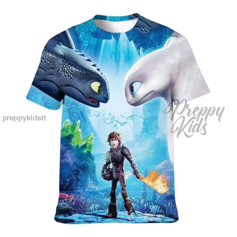 How To Train A Dragon 3D Tshirts Hoodies