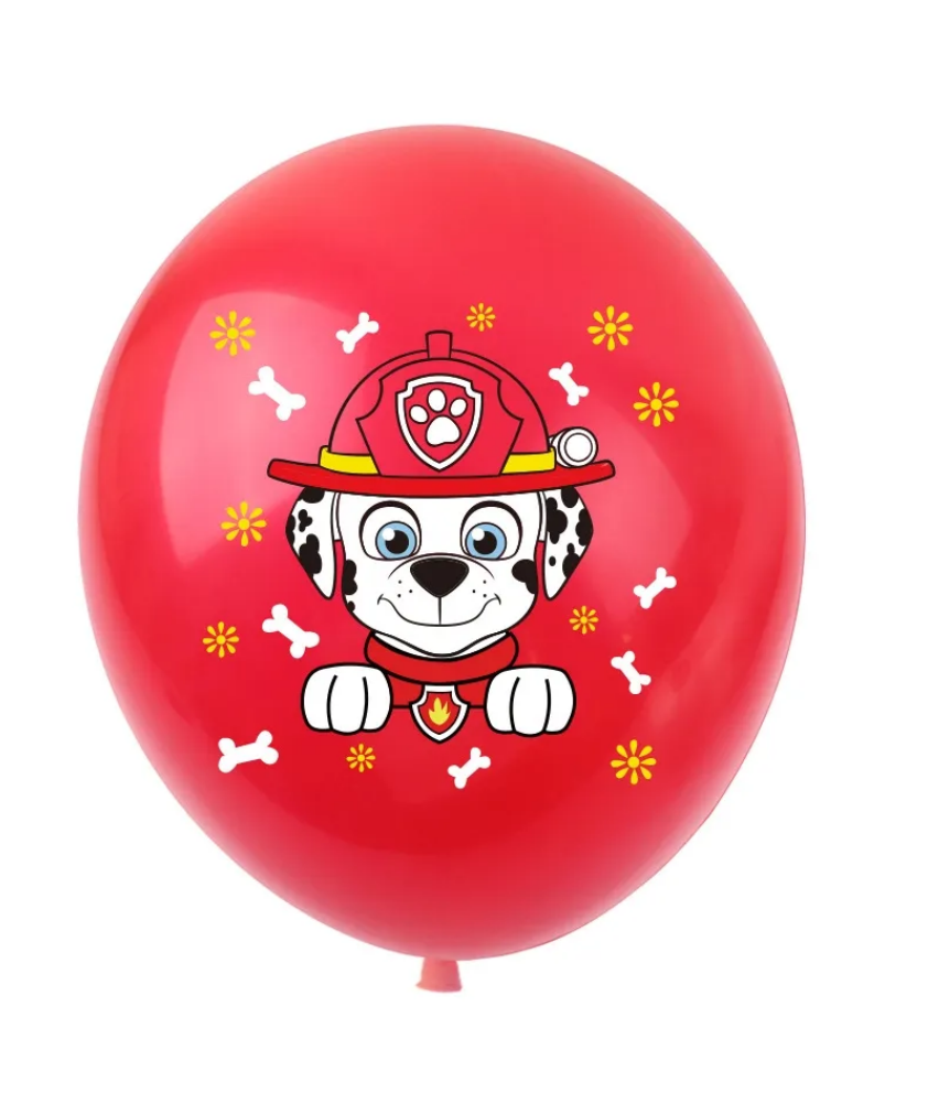 Paw Patrol Girls Edition Pink Party Decoration package
